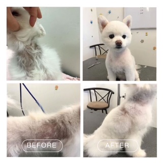 Hydrobath before and after coat result